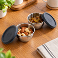 Apex Stainless Steel Container 180 Ml With Lid (2 Pc Set)