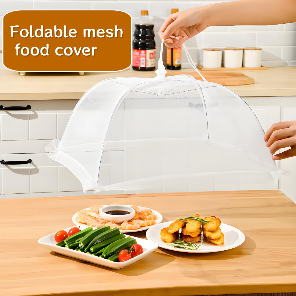 Lunch Box (200 Ml Each Container) With Attractive Stand - 4 Pcs